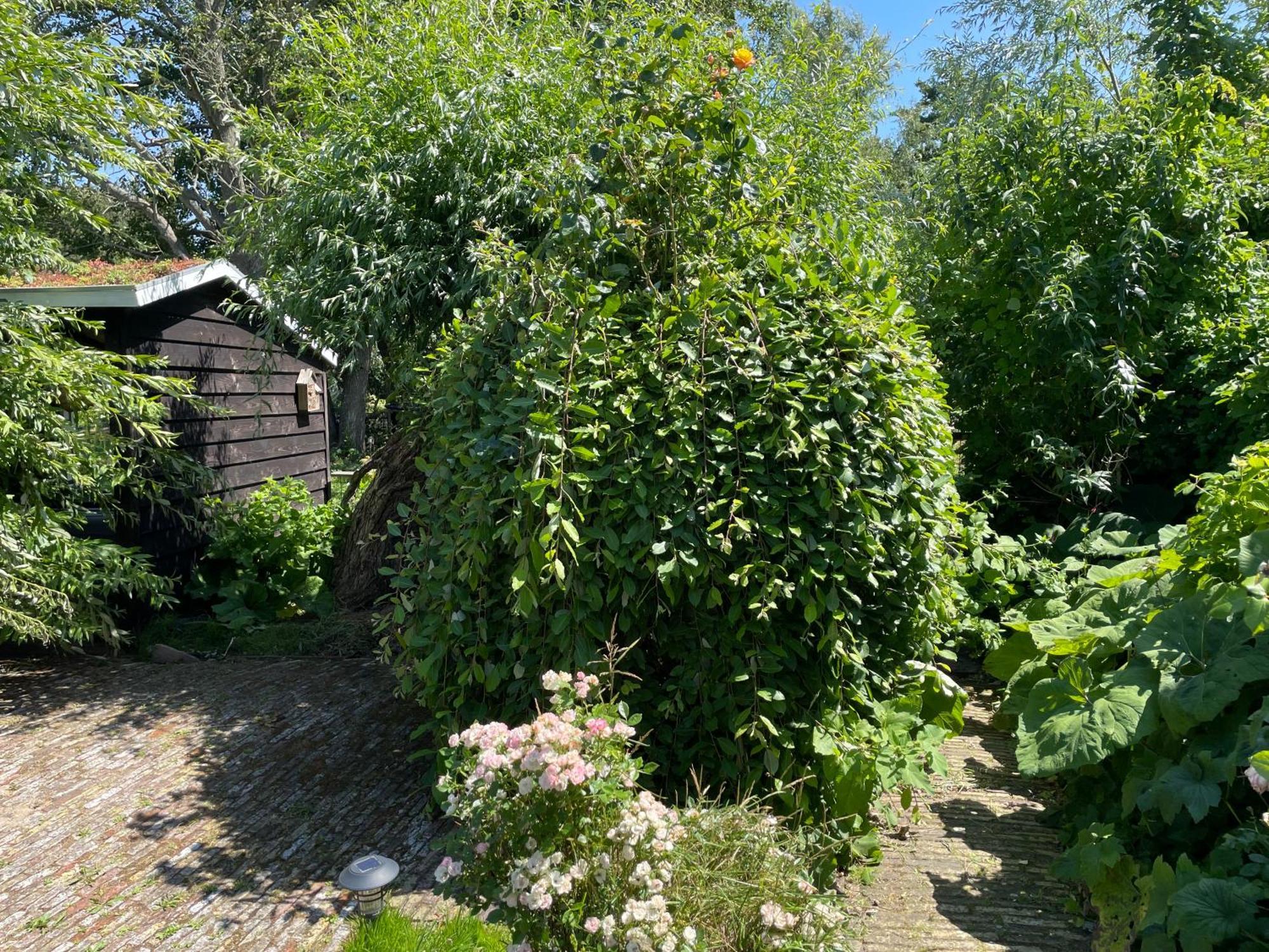 Ivy Cottage Near Amsterdam Oudendijk Exterior foto